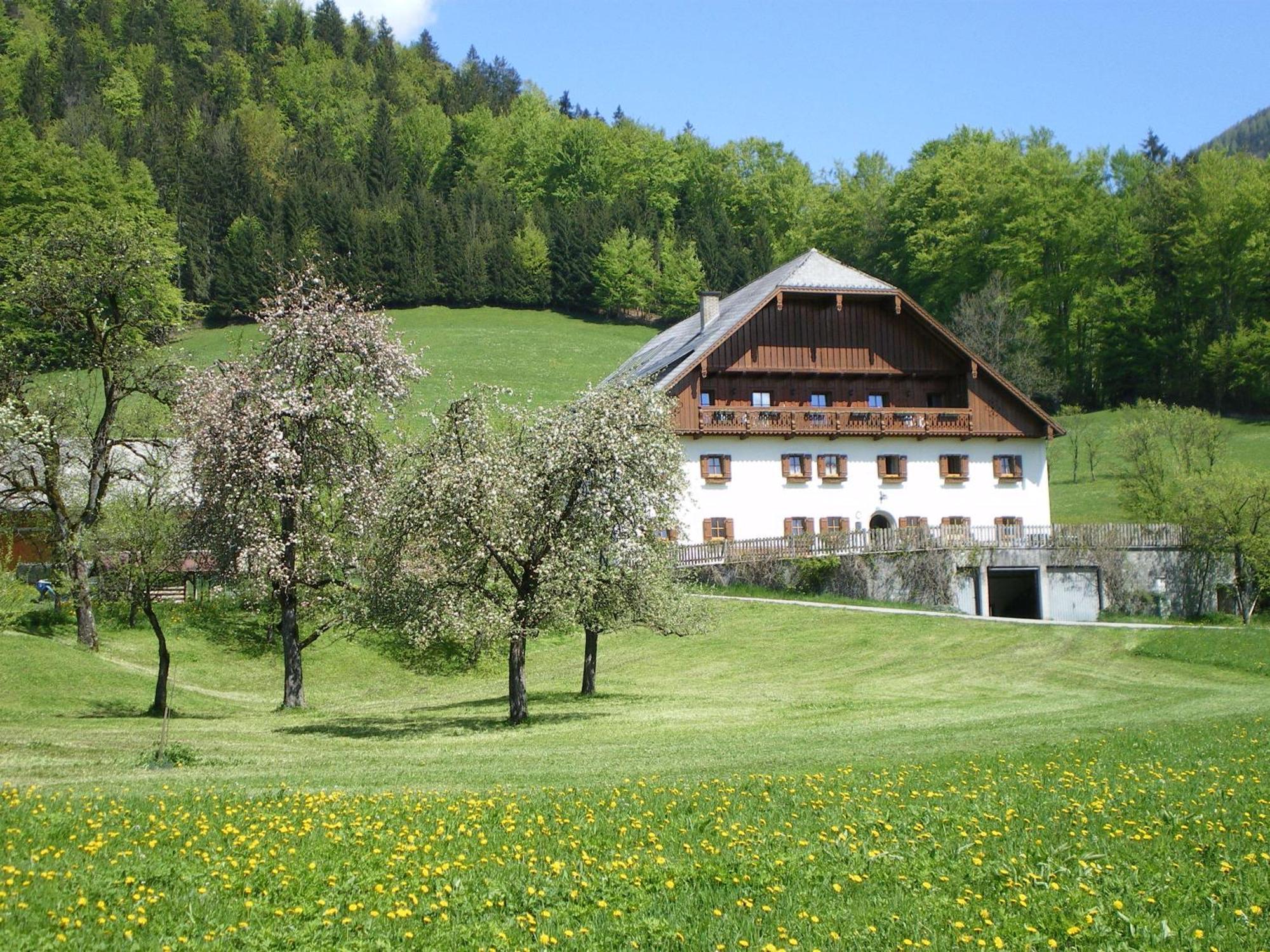 Russbachbauer Villa Sankt Wolfgang im Salzkammergut Exterior photo